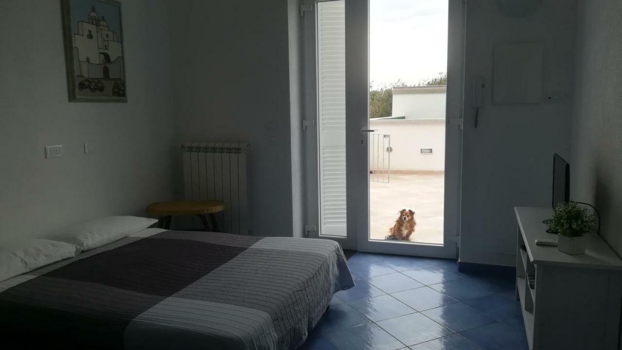 Citara mare Villa Forio di Ischia Exterior foto